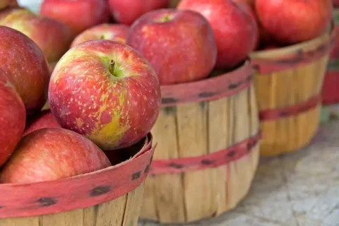Apple baskets