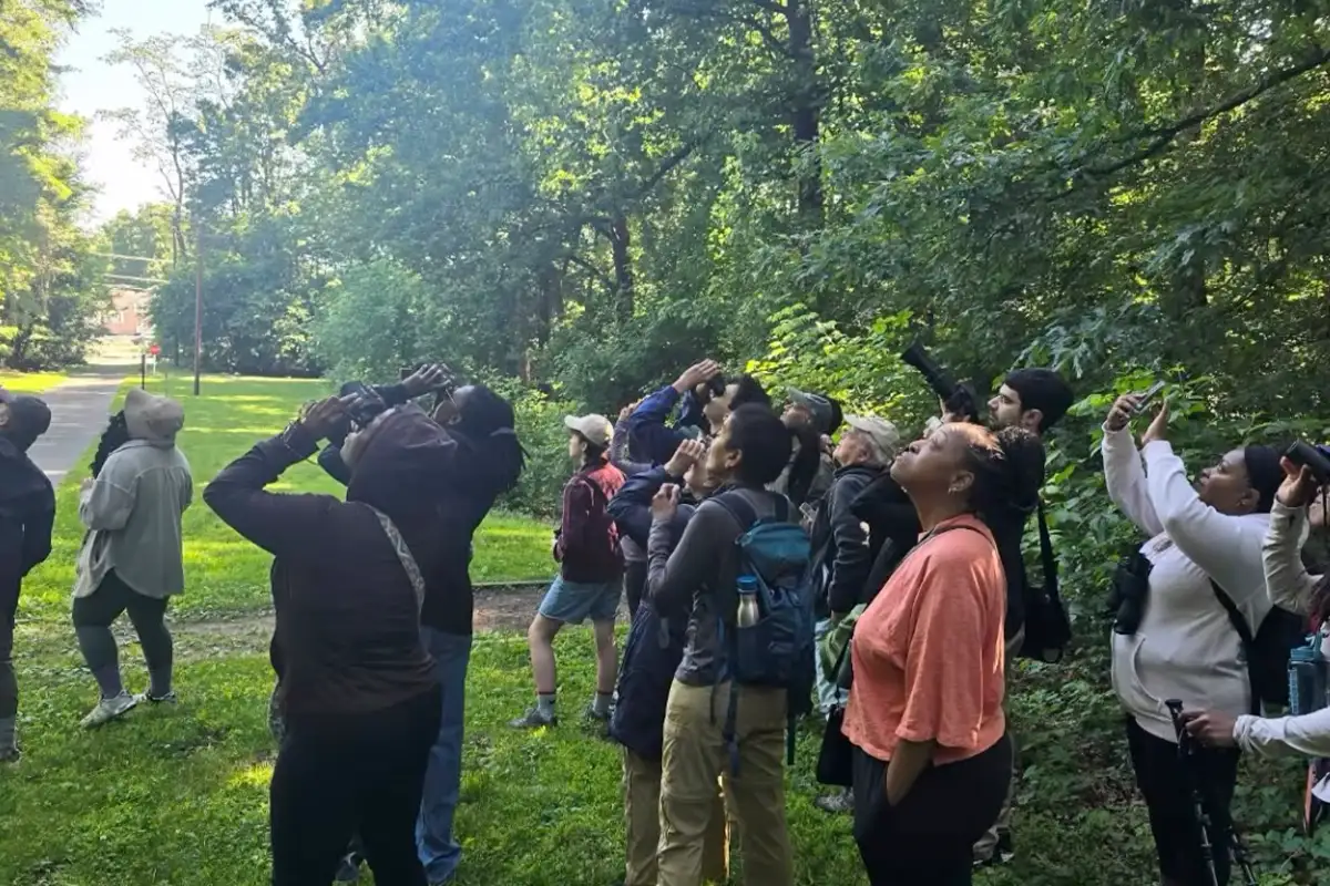 Birdwatching at Chimney Swift Watch