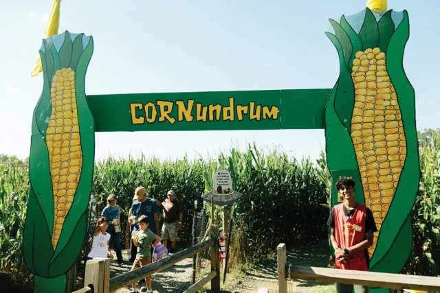 Front of a corn maze called "Cornundrum" with people coming out