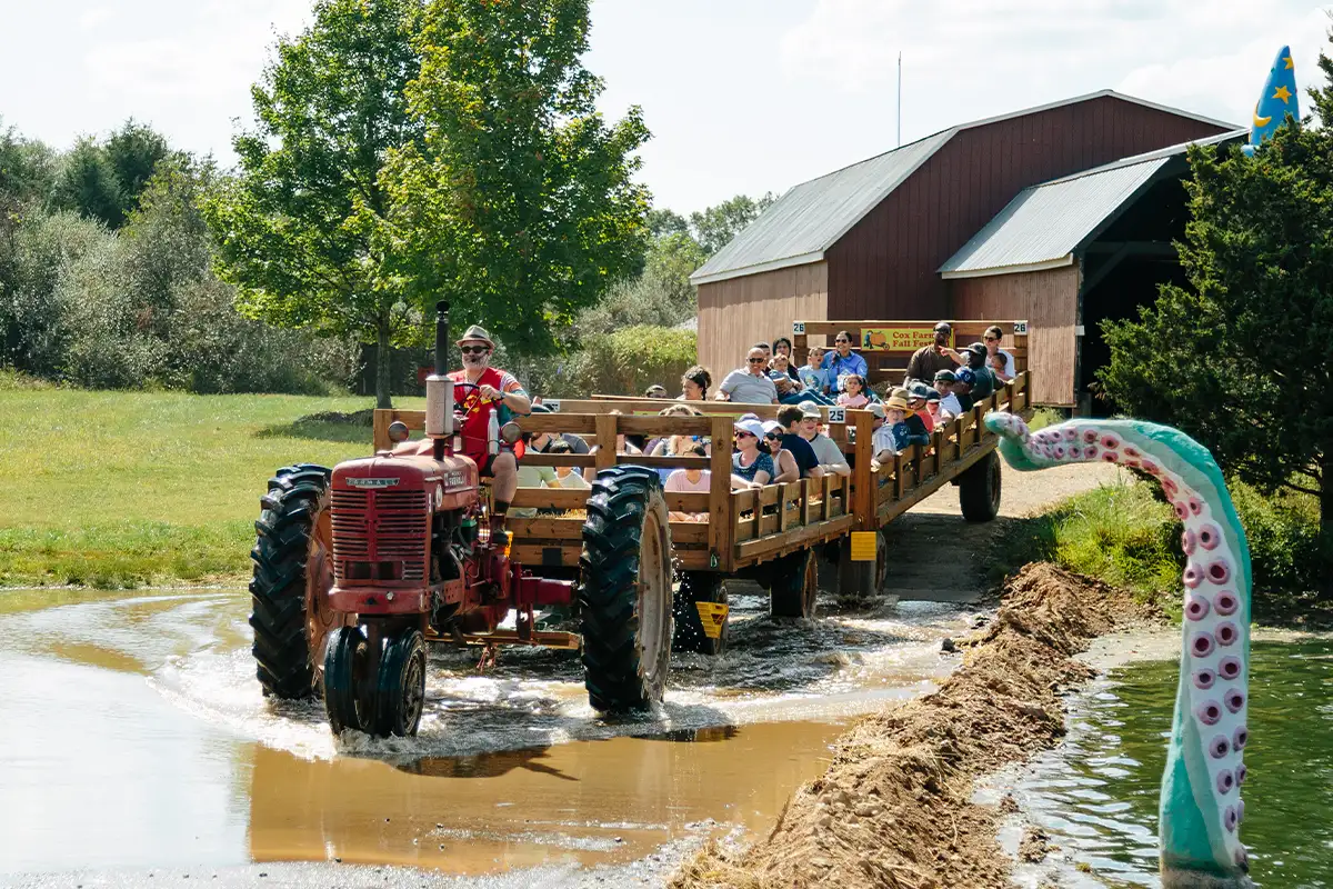 Cox Market Pumpkins, Hayride & Slides