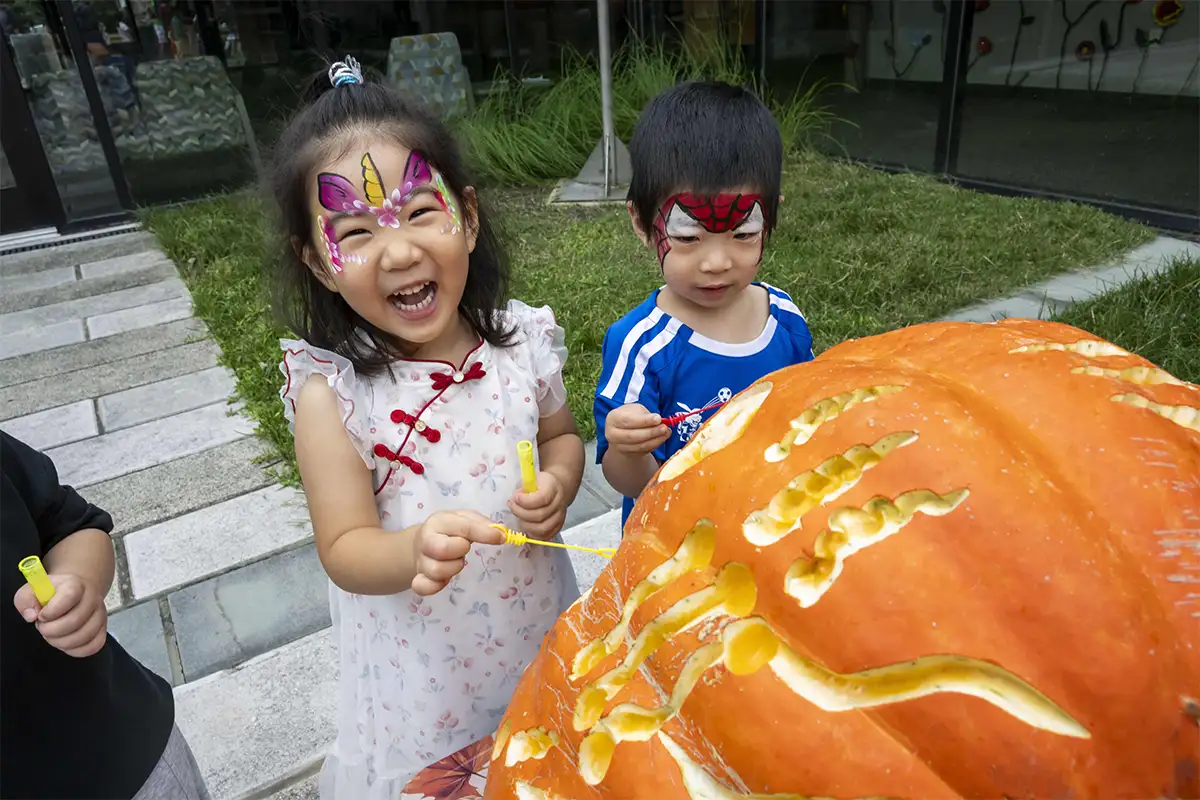 Harvest Happenings in McLean