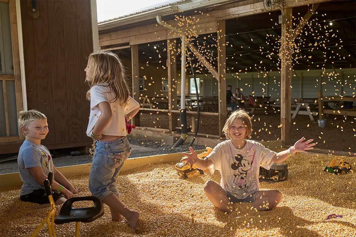 kids play in the corn pit at Magnolia Meadow Farms Fall Festival