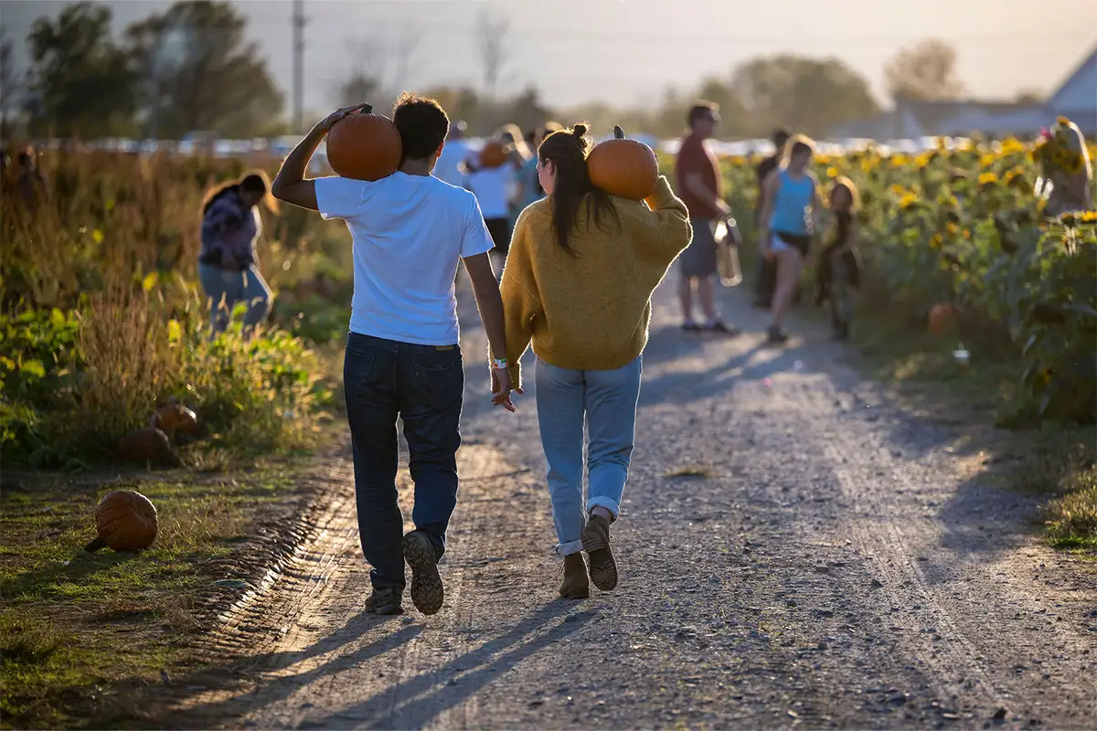 people carry pumpkins at Magnolia Meadow Farms Fall Festival