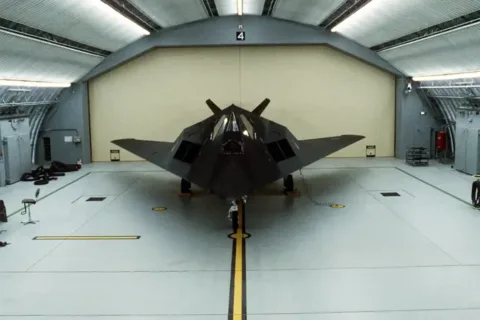 F-117 Nighthawk "The Overachiever"