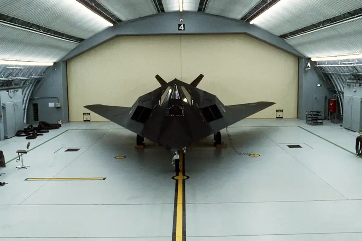 F-117 Nighthawk "The Overachiever"