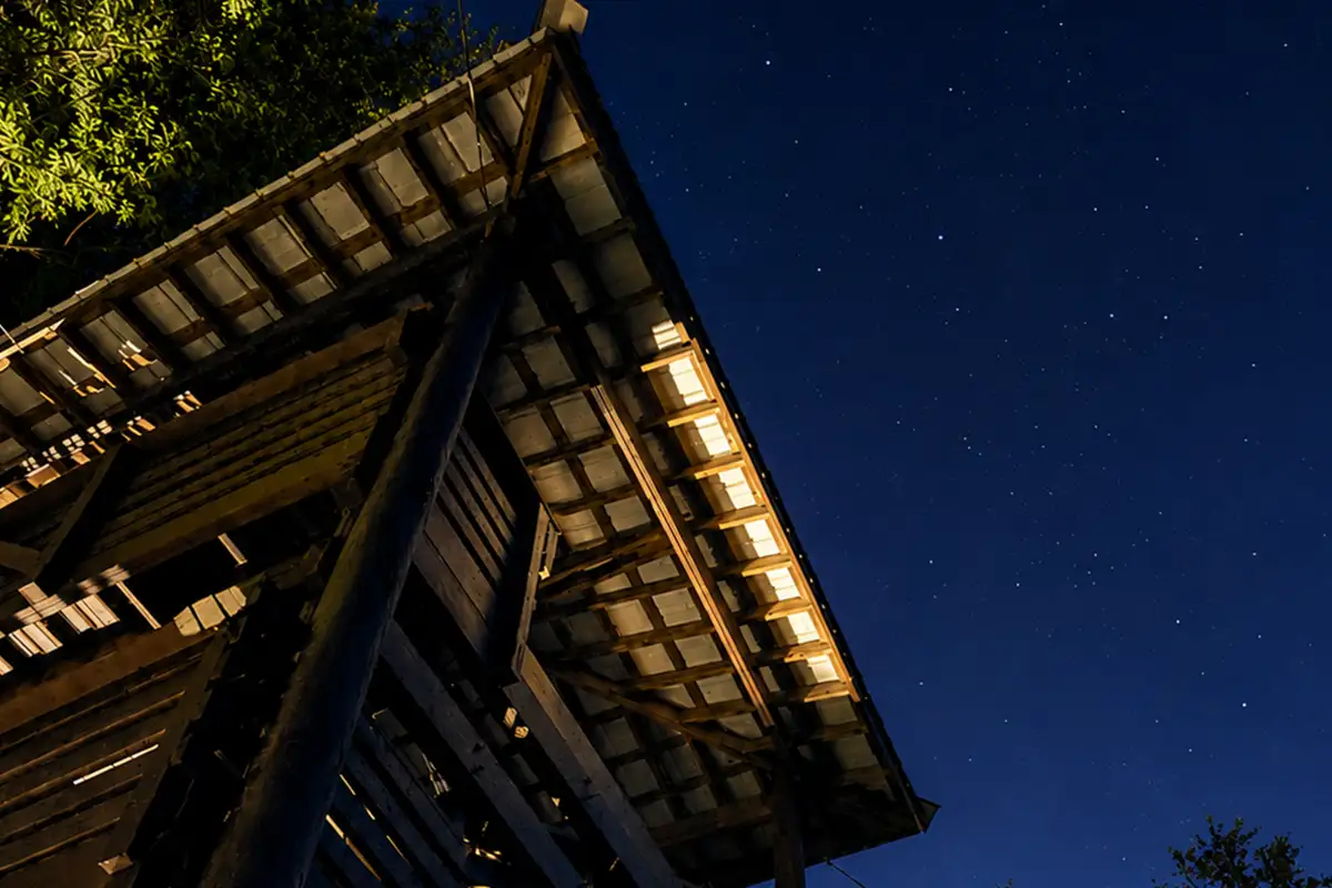 the ziplining platform at the Salamander Middleburg against the night sky