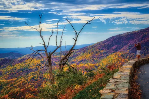 person looking at fall foliage along skyline drive