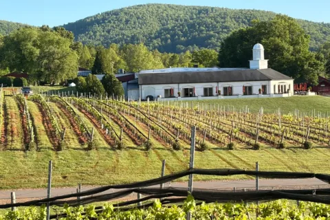 Barboursville Vineyards