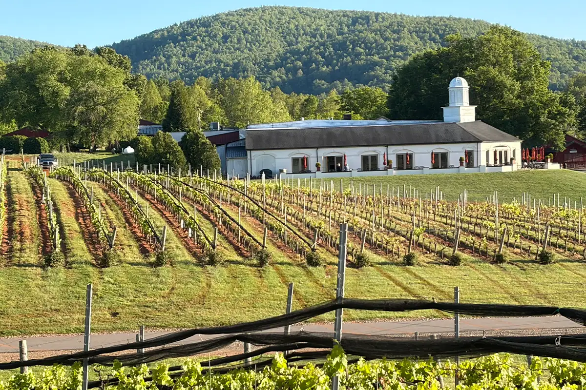Barboursville Vineyards