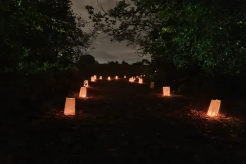 Luminary candles illuminating a trail in the woods