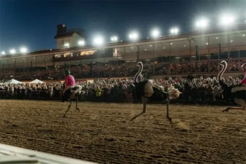 ostrich race at Charles Town Casino