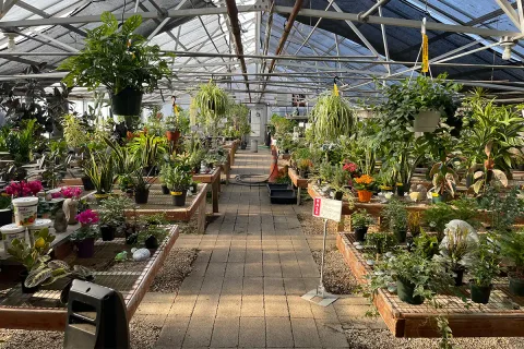 Wolf Trap nursery greenhouse with houseplants