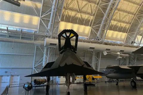 nighthawk at Uvday-Hazy Center